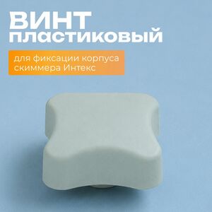 Винт для корпуса скиммера Intex (Интекс) 10526