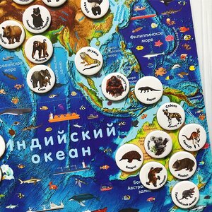 Магнитный геопазл Карта мира + игровой набор Животные мира 2в1 Геомагнит фото 3