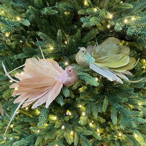 Елочная игрушка Птица Welness - Paradise Plume 22 см, 2 шт, клипса Christmas Deluxe фото 1