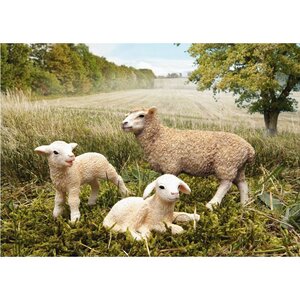 Фигурка Овца 9 см Schleich фото 3