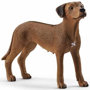 Фигурка Собака Родезийский риджбек 7 см Schleich фото 1