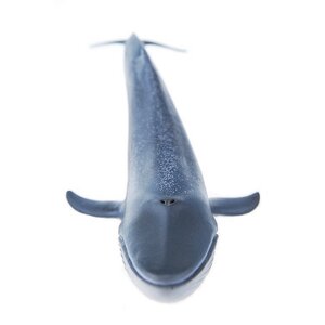 Фигурка Синий кит 11 см Schleich фото 3