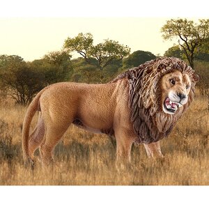 Фигурка Лев рычащий 11 см Schleich фото 6