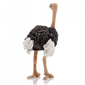 Фигурка Страус 8 см Schleich фото 2