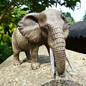 Фигурка Африканский слон самка 15 см Schleich фото 2