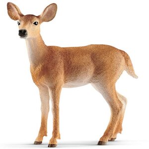Фигурка Белохвостый олень - самка 9 см Schleich (Шляйх) фото 1