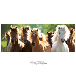 Пазл-панорама Дикие лошади, 1000 элементов, 38х98 см
