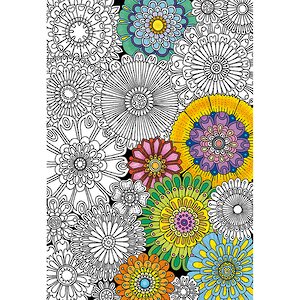Пазл-раскраска Цветы, 300 элементов Educa фото 1