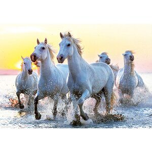 Пазл Белые лошади на закате, 1000 элементов Educa фото 1