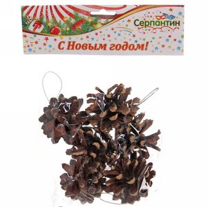 Набор шишек для декора Дары Леса, 6 шт Serpantin фото 7