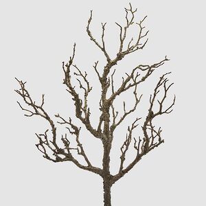 Искусственная ветка Acacia Colorato 58 см EDG фото 1