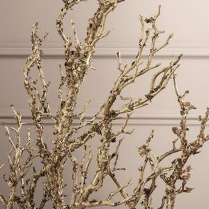 Искусственная ветка Акация Colorato 81 см EDG фото 5