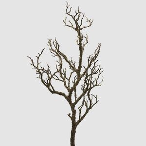 Искусственная ветка Branche Molte 81 см EDG фото 1