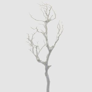 Искусственная ветка Acacia Nevosa 68 см EDG фото 1