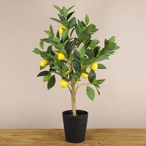 Искусственное дерево Limoni 70 см Koopman фото 1