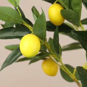 Искусственное дерево Limoni 70 см Koopman фото 3