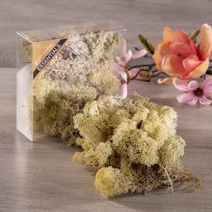 Декоративный мох светлый, 50 г
