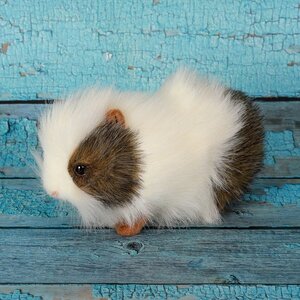 Мягкая игрушка Морская свинка белая 20 см