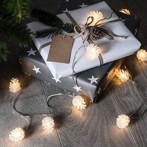 Гирлянда Шишки 24 теплых белых LED ламп 4.6 м, прозрачный ПВХ, контроллер, IP44 Kaemingk фото 2