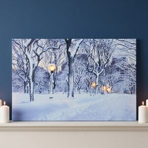 Светодиодная картина Заснеженный Парк 57*37 см с оптоволоконной и LED подсветкой, на батарейках