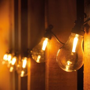 Ретро гирлянда Большие Лампочки, 20 ламп, теплые белые LED, 9.5 м, черный ПВХ, соединяемая, IP44