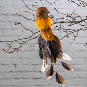 Декоративное украшение Колумбийская Птица Чезаре 25 см, клипса ShiShi фото 1