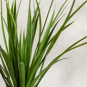 Искусственный цветок в горшке Таллинум 51 см желтый Summer Deco фото 5