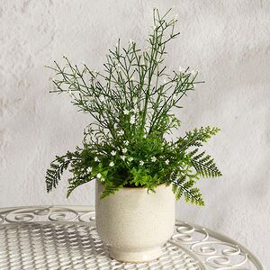 Искусственный цветок в горшке Аспарагус 28 см Summer Deco фото 1