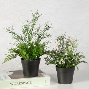 Искусственный цветок в горшке Аспарагус 28 см Summer Deco фото 3