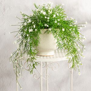 Искусственный подвесной куст Midleton Stone 43 см, белый Summer Deco фото 1