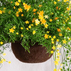 Искусственный цветок в кашпо Matera - Аромат Лета 43 см Summer Deco фото 4