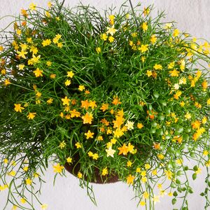 Искусственный цветок в кашпо Matera - Аромат Лета 43 см Summer Deco фото 5