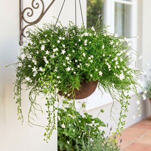 Искусственный цветок в кашпо Матерра - Магический Сад 43 см Summer Deco фото 5