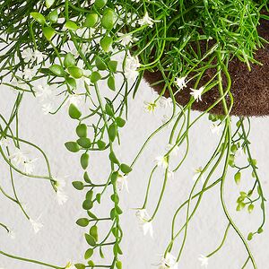 Искусственный цветок в кашпо Matera - Магический Сад 43 см Summer Deco фото 2