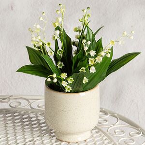 Искусственный цветок в горшке Ландыш - Подарок Весны 23 см