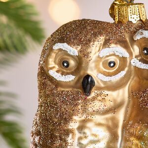 Елочная игрушка Полярные Совы на ветке 10 см в подарочной коробке, стекло Winter Deco фото 5