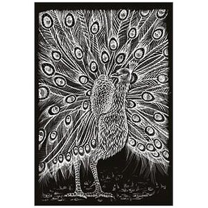 Картина-гравюра большая Павлин, 20*27 см Забавка фото 1