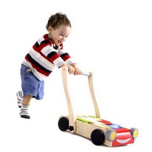 Деревянный конструктор Блоки с тележкой и фотоаппаратом 24 детали Plan Toys фото 3