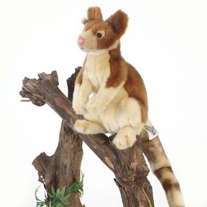 Мягкая игрушка Древесный кенгуру 23 см