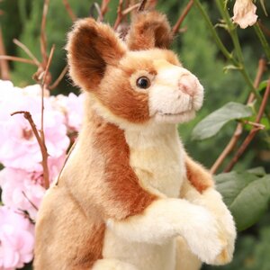 Мягкая игрушка Древесный кенгуру 23 см Hansa Creation фото 6