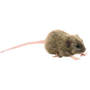 Мягкая игрушка Крыса бурая 12 см