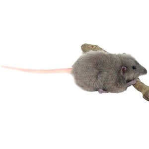 Мягкая игрушка Крыса серая 12 см