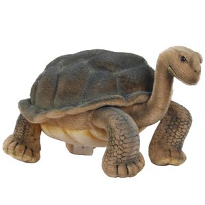 Мягкая игрушка Галапагосская черепаха 30 см