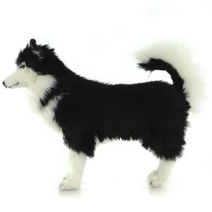 Мягкая игрушка Собака Хаски черно-белая 56 см Hansa Creation фото 5