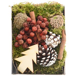 Набор эко-декора Forest Mix Kaemingk фото 1