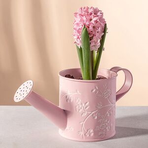 Декоративное кашпо-лейка Амальфи 22*10 см розовое, металл