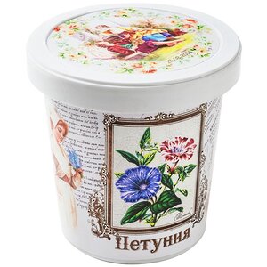 Набор для выращивания Петуния