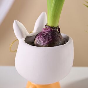 Декоративное кашпо Зайка Феня 12 см Koopman фото 5