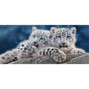 Пазл Снежные леопарды, 600 деталей Castorland фото 1