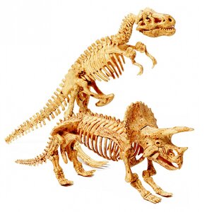 Набор для раскопок Науки с Буки: Динозавр Трицератопс Bondibon фото 2